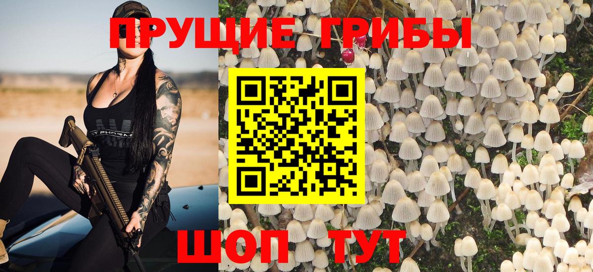 Черкесск  Галлюциногенные грибы GOLDEN TEACHER  Вход с VPN 
